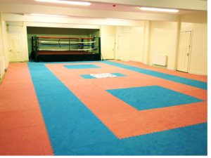 Main Dojo